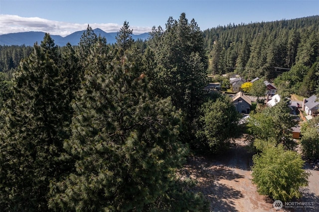 0 W Nevada Ave, Roslyn, WA 98941 - photo 7