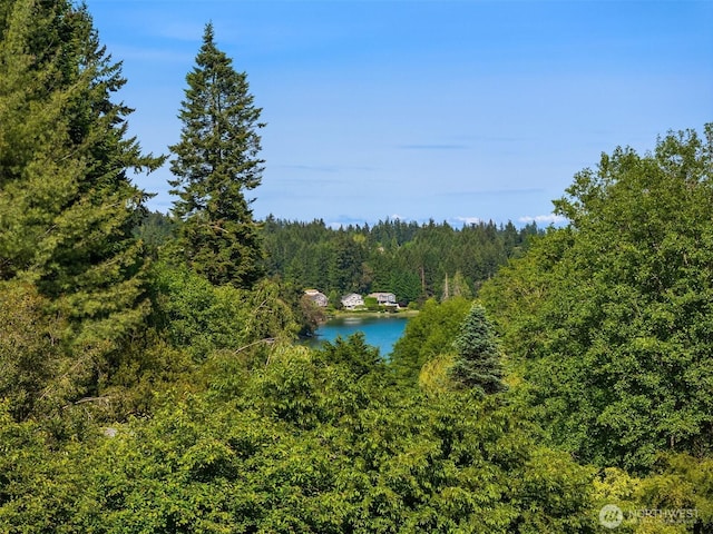 8021 NE Sandpiper Ln, Bainbridge Island, WA 98110 - water view featuring a heavily wooded area