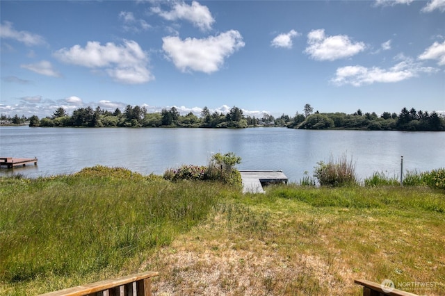 580 Mt Olympus Ave SE, Ocean Shores, WA 98569 - water view