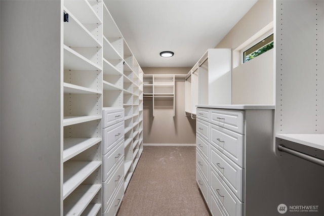 16254 205th Pl SE, Renton, WA 98059 - photo 13