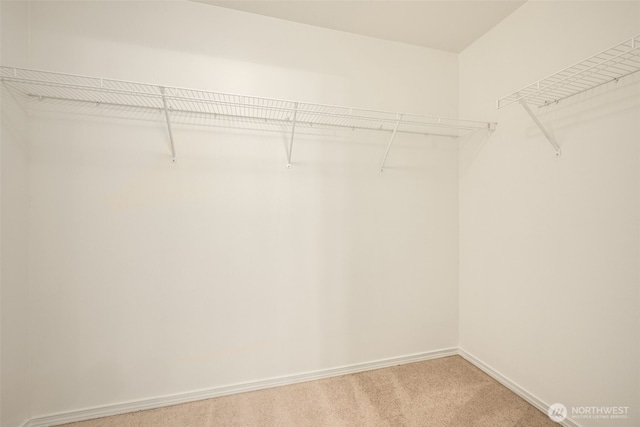710 240th Way SE Unit J302, Sammamish, WA 98074 - spacious closet with light carpet