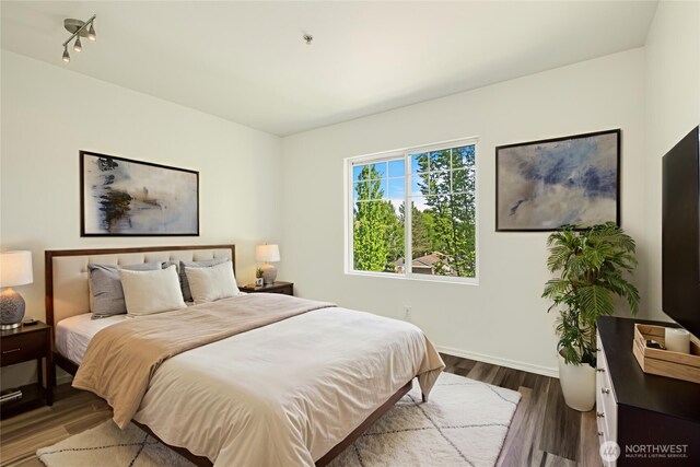 710 240th Way SE Unit J302, Sammamish, WA 98074 - bedroom with wood finished floors, baseboards, and track lighting