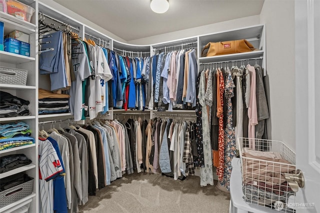 17421 128th Avenue Ct E, Puyallup, WA 98374 - spacious closet featuring carpet flooring