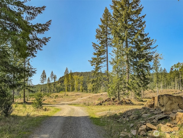 0 Craig Rd Lot A2, Packwood, WA 98361