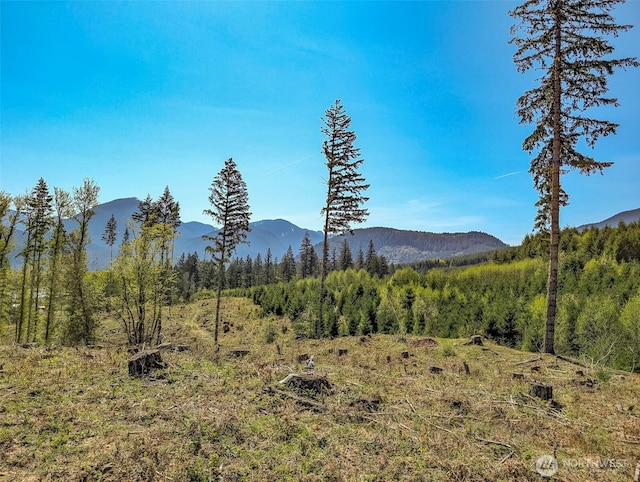 0 Craig Rd Lot A2, Packwood, WA 98361