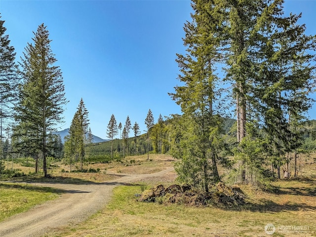 0 Craig Rd Lot A2, Packwood, WA 98361