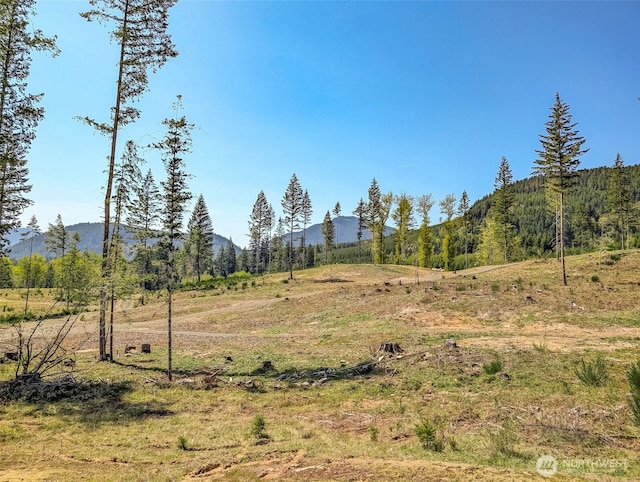 0 Craig Rd Lot A2, Packwood, WA 98361