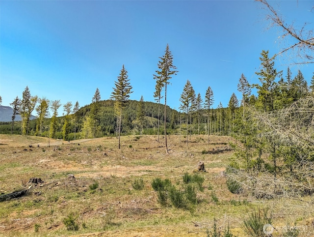 0 Craig Rd Lot A2, Packwood, WA 98361