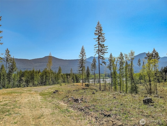 0 Craig Rd Lot A2, Packwood, WA 98361