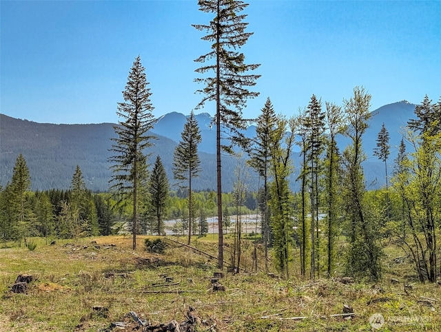 0 Craig Rd Lot A2, Packwood, WA 98361