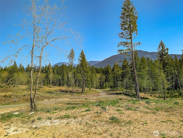 0 Craig Rd Lot A2, Packwood, WA 98361