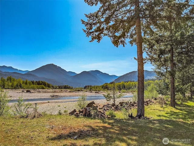 0 Craig Rd Lot A2, Packwood, WA 98361