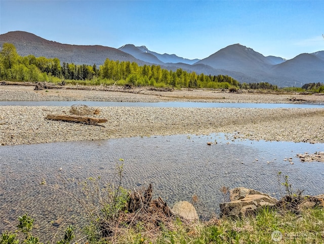 0 Craig Rd Lot A2, Packwood, WA 98361