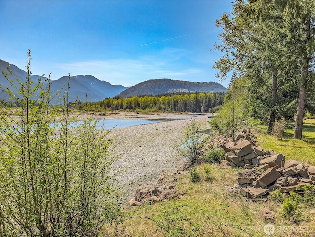0 Craig Rd Lot A2, Packwood, WA 98361