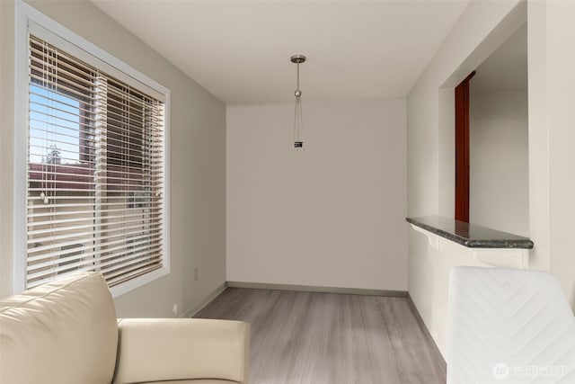 512 141st Ave SE Unit 55, Bellevue, WA 98007 - unfurnished dining area featuring light wood-style flooring and baseboards