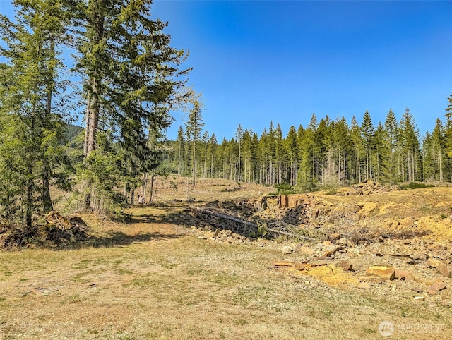 0 Craig Rd Lot A3, Packwood, WA 98361