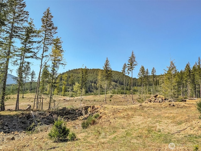 0 Craig Rd Lot A3, Packwood, WA 98361