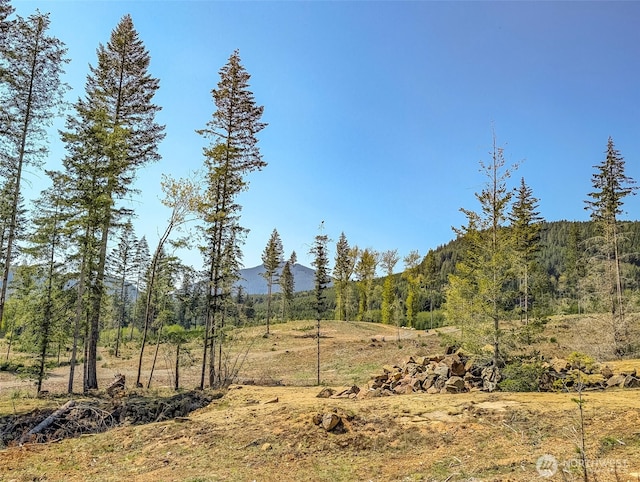 0 Craig Rd Lot A3, Packwood, WA 98361