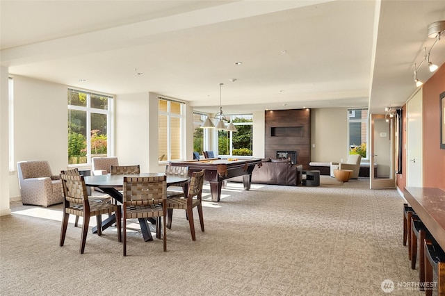 145 Ferncliff Ave NE Unit D338, Bainbridge Island, WA 98110 - dining space with light carpet and a fireplace