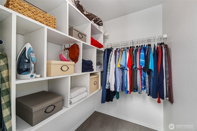 3534 SW Monroe St, Seattle, WA 98126 - walk in closet featuring carpet