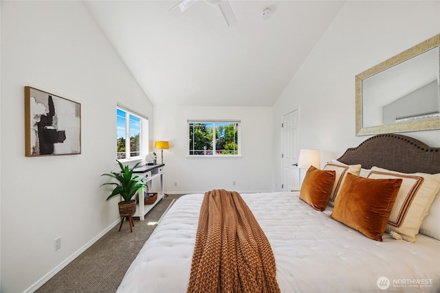 3534 SW Monroe St, Seattle, WA 98126 - carpeted bedroom with baseboards and high vaulted ceiling