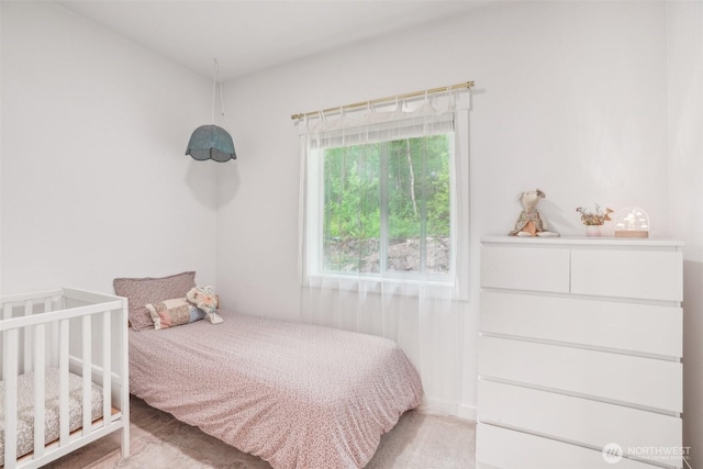 201 SE Alder St, Winlock, WA 98596 - bedroom with carpet flooring