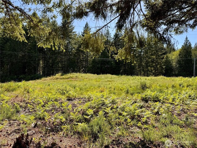520 N Fairway Dr W, Hoodsport, WA 98548 - photo 18