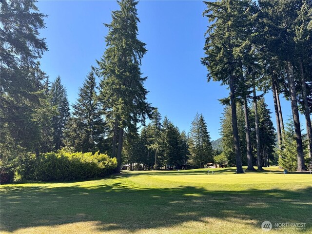 520 N Fairway Dr W, Hoodsport, WA 98548 - photo 21