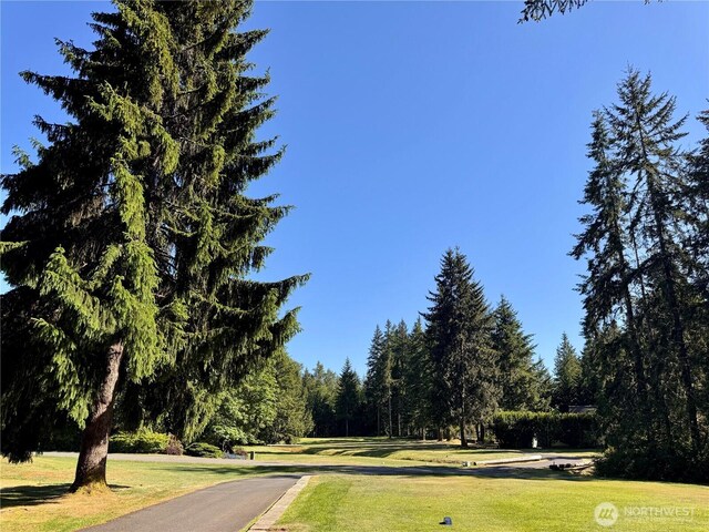 520 N Fairway Dr W, Hoodsport, WA 98548 - photo 22