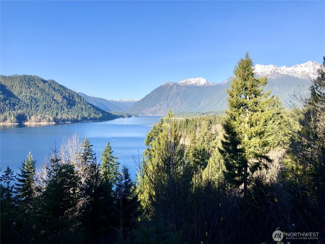 520 N Fairway Dr W, Hoodsport, WA 98548 - photo 25