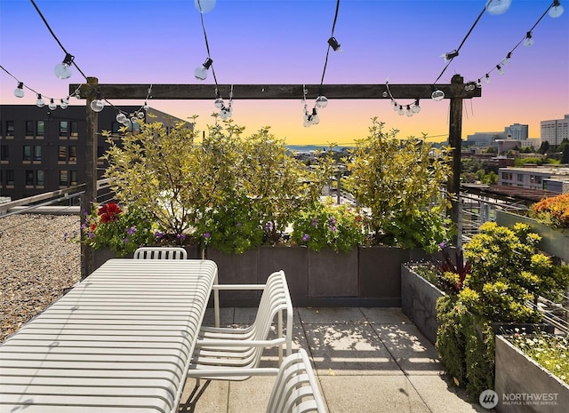 1310 E Union St Unit 401, Seattle, WA 98122 - view of patio / terrace