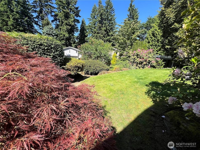 12509 SE 48th Pl, Bellevue, WA 98006 - view of grassy yard