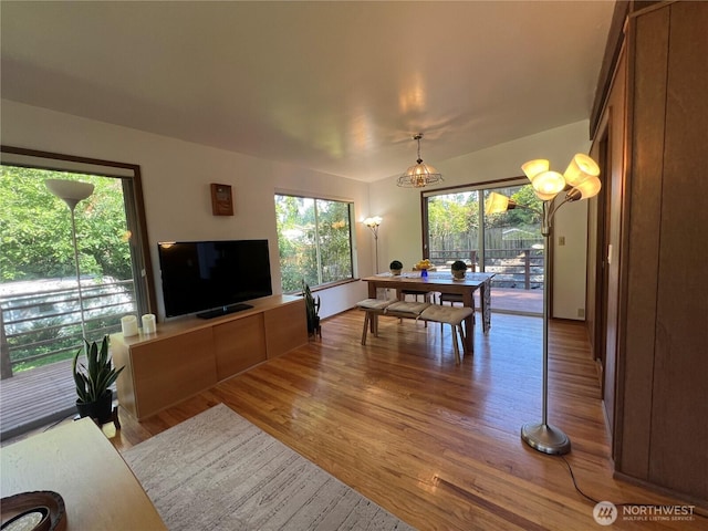 12509 SE 48th Pl, Bellevue, WA 98006 - living room with wood finished floors