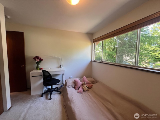 12509 SE 48th Pl, Bellevue, WA 98006 - bedroom with carpet flooring