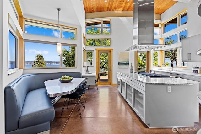4502 55th Ave NE, Seattle, WA 98105 - kitchen featuring wooden ceiling, ventilation hood, stainless steel appliances, concrete flooring, and a high ceiling
