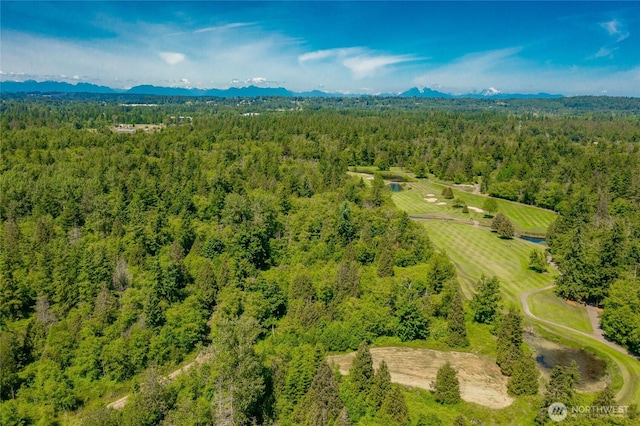 8680 Ashbury Ct, Blaine, WA 98230 - photo 33