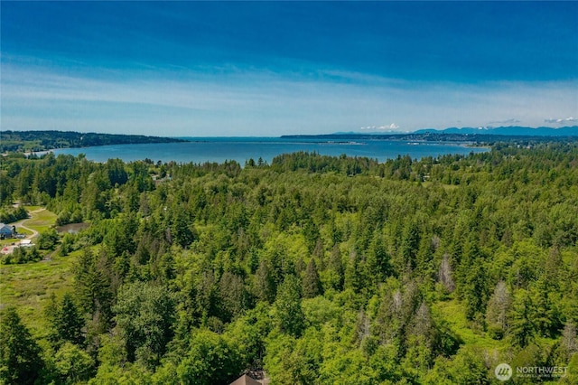 8680 Ashbury Ct, Blaine, WA 98230 - photo 30