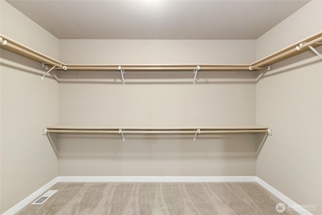 4507 Trenton Loop SE, Olympia, WA 98501 - spacious closet with carpet