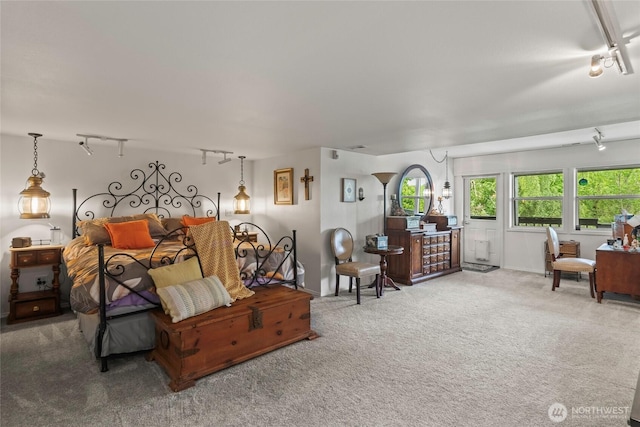 1308 11th Street Pl SW, Puyallup, WA 98371 - bedroom with track lighting, carpet flooring, and baseboards