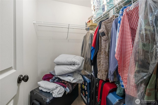 4301 Mckinley St NE, Lacey, WA 98516 - spacious closet with carpet flooring
