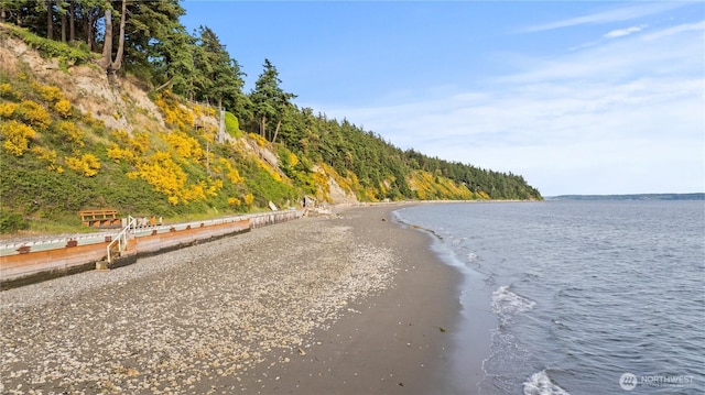 2548 S Camano Dr, Camano Island, WA 98282 - water view with a forest