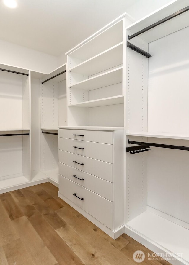 7253 S Taft St, Seattle, WA 98178 - walk in closet with light wood-type flooring