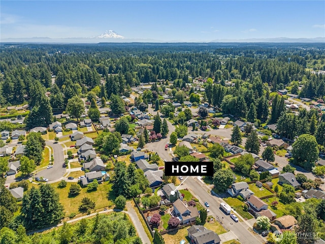4404 29th Ave SE, Lacey, WA 98503 - aerial view of residential area featuring a forest