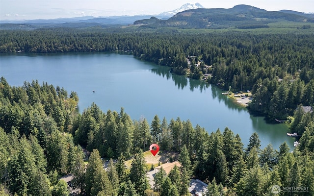 18547 Surcingle Ct SE, Yelm, WA 98597