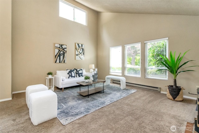 13714 SE 258th Pl Unit 36, Kent, WA 98042 - living room with carpet, a baseboard heating unit, high vaulted ceiling, and baseboards