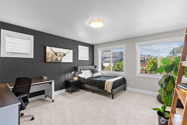 4917 22nd Avenue Ct NW, Gig Harbor, WA 98335 - photo 27