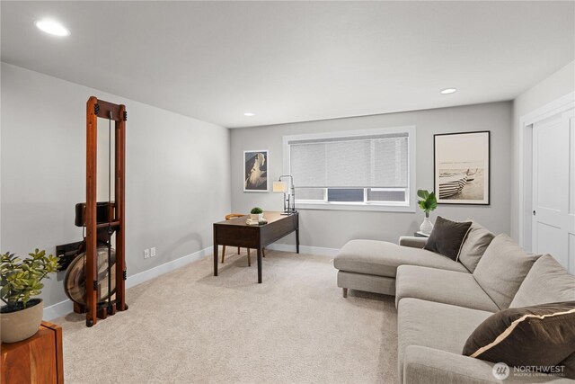 4917 22nd Avenue Ct NW, Gig Harbor, WA 98335 - photo 26