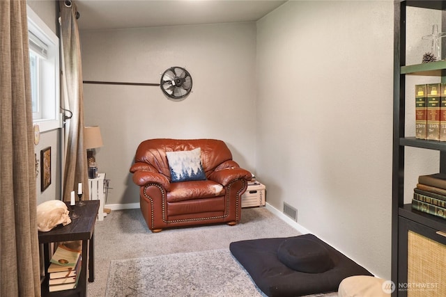 3854 Britton Rd Unit 1, Bellingham, WA 98226 - living area with carpet
