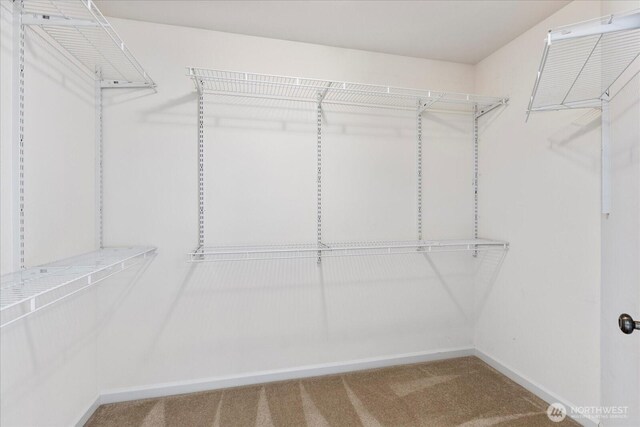 22035 99th Pl W, Edmonds, WA 98020 - spacious closet featuring carpet floors