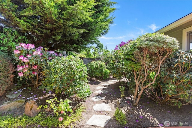22035 99th Pl W, Edmonds, WA 98020 - view of yard